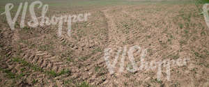 field with tractor tracks