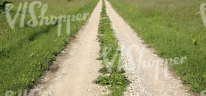 a small country road in summertime