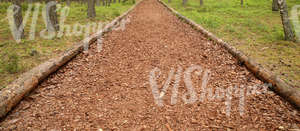 a forest pathway covered with mulch