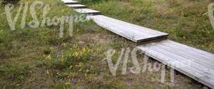 wooden walkway