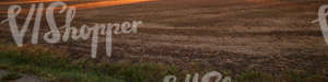 harvested field at sunset