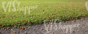 grass ground with a walkway at the foreground