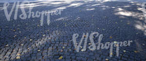 pavement with a few autumn leaves