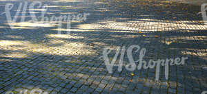 pavement with a few autumn leaves