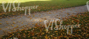 park walkway with autumn leaves