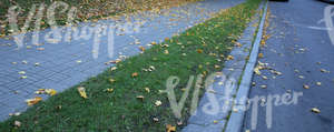paved sidewalk and street with autumn leaves