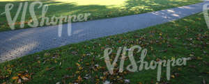 grass ground with a paved walkway and autumn leaves