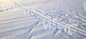 field of snow with different tracks