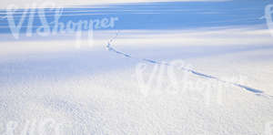 field of snow with footprints and tree shadows
