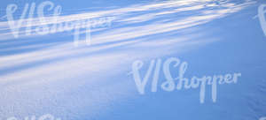 field of snow with tree shadows