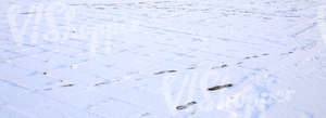 snow covered pavement with footprints