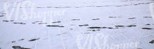 snow covered pavement with footprints
