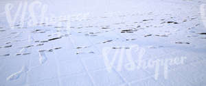 snow covered ground with footprints