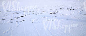 snow covered ground with footprints