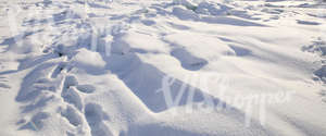 bumpy field of snow with chunks of ice