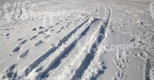 snow-covered ground with snowmobile tracks and footprints