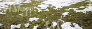 grass ground with patches of snow