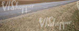 country road and dry grass in the foreground