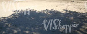 sandy beach with a tree shadow