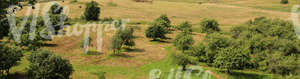 landscape with an orchard and a hayfield seen from above