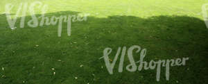 lawn with a tree shadow