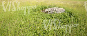 big rock on a field of grass