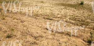 sandy ground with some grass