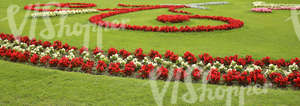 park ground with red and white flowerbeds