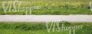 small country road in a summer landscape