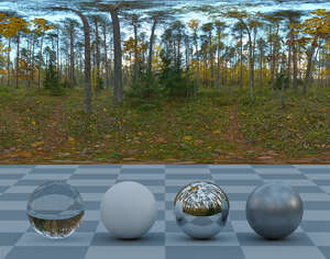 HDRI panorama of a forest in autumn