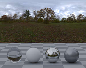 HDRI panorama of a oak forest in autumn