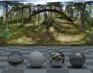 HDRI panorama of a wild forest with sunny sky