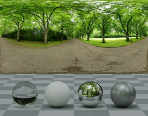 HDRI panorama of alley of trees in a park