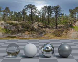 HDRI panorama of a rocky forest
