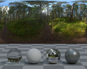 HDRI panorama of a forest in summer