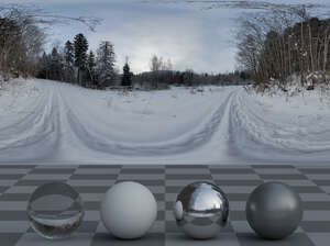HDRI panorama of a winter forest