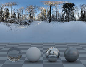 HDRI panorama of a sunny winter forest