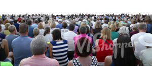 audience listening to an outdoor concert