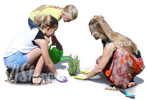 mother with two daughters planting in the garden