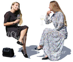 two women sittin in a cafe and drinking wine