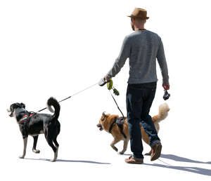 backlit man walking with two dogs