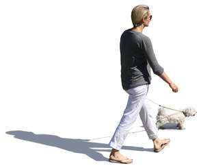 woman walking a dog seen from above