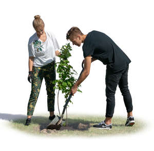 man and woman planting a tree