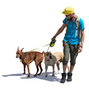 man walking with two dogs
