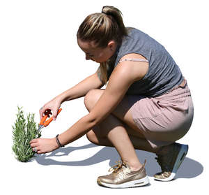 woman squatting and cutting herbs