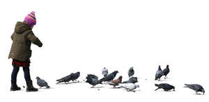 little girl feeding pigeons