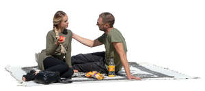 couple having a picnic