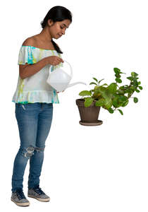 woman watering house plants