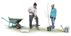 man and woman planting a tree in a garden