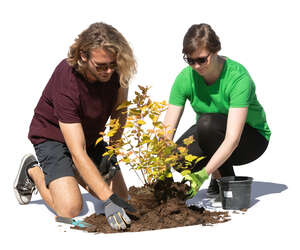 man and woman working in a garden